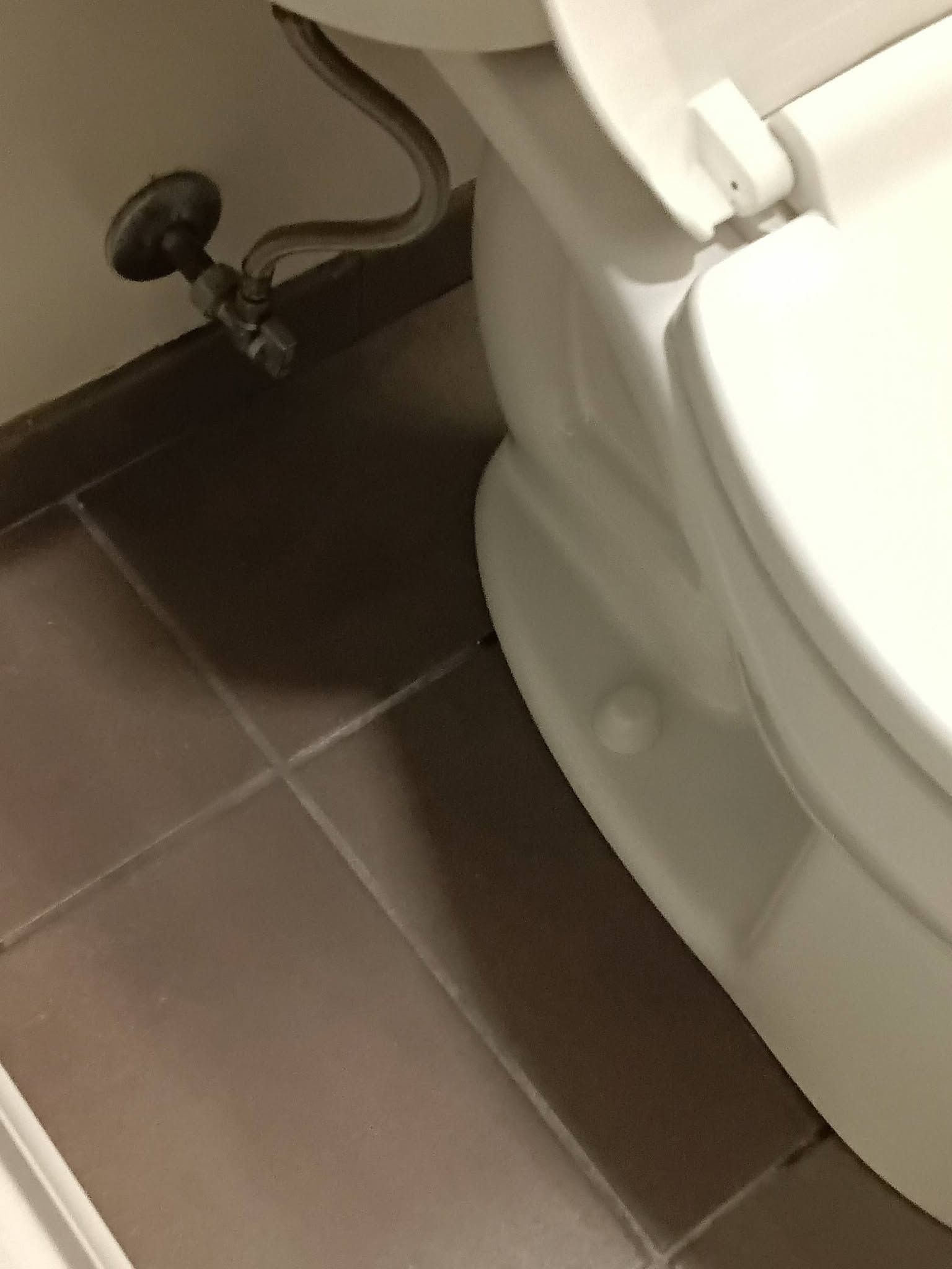 Above Basic Cleaning Janitorial Services project photo